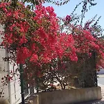 L&j Ocean View * Αλμπουφέιρα