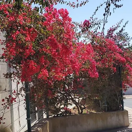 L&j Ocean View * 알부페이라