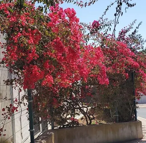 L&j Ocean View * Albufeira